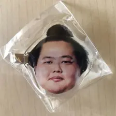 大相撲 ガチャ ヘアピン 琴櫻①