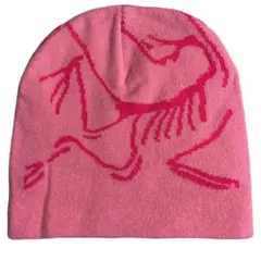 ビーニー　ニット帽　帽子　スケーター y2k グランジ ピンク