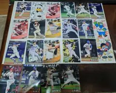 カルビー プロ野球 トレーディングカード セット22 枚