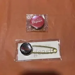 東方神起 Bigeast 缶バッジ ストールピン セット