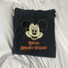 Item thumbnail for item 52944fe8-77aa-48fb-8628-3ccb738786e5