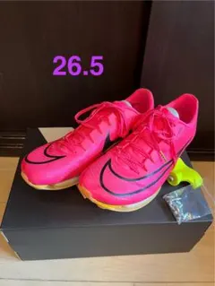 Item thumbnail for item 68640972-86bc-40d7-93e6-9b6498614570