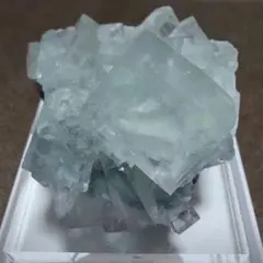 2026年最新】シャンファーリンの人気アイテム - メルカリ