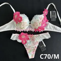サルート 01G 下妻物語 店舗限定 ブラ D65 & ソングM YE - メルカリ