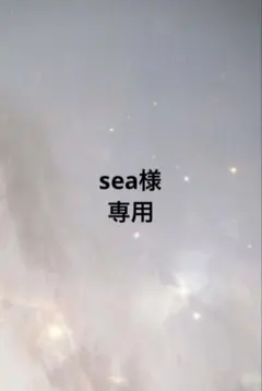 sea様専用ページ