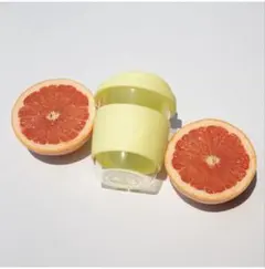 Item thumbnail for item 7c99c6c4-c06a-4406-bb92-4148577519aa