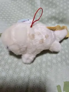 鯢 歐鯢 鯢 玩偶