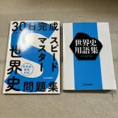 世界史用語集・スピードマスター世界史問題集　山川出版社