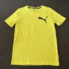 PUMA プーマ　半袖Tシャツ　ロゴTシャツ