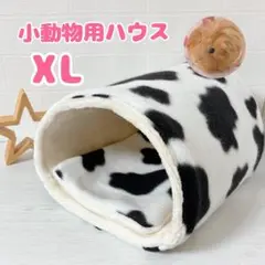 Item thumbnail for item d2841d57-3618-4856-9da8-865cf8f7748a