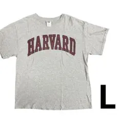 HARVARD グレー Tシャツ Lサイズ
