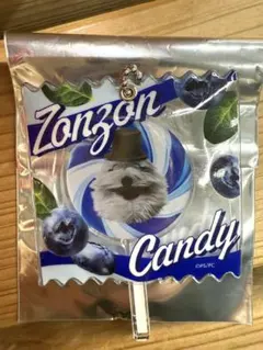 パペットスンスン　ゾンゾンCandy アクリルキーホルダー