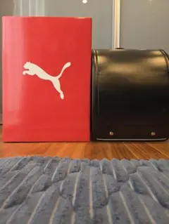 Item thumbnail for item e387b54b-c45e-4f9e-a151-faa2c21b36bd