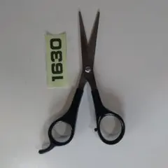 Item thumbnail for item 27ef0efa-a18a-462b-b144-53e7e791dccd