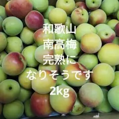 露茜 MSサイズ 2kg 和歌山県産 梅酒 シロップ ジャム - メルカリ