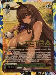 ヴァイス　nikke ノワール　sp 美品 最安値 ヴァイス NIKKE フィナーレ ノワール sp サイン ニケ