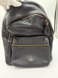 ひ*こ様 coach リュック