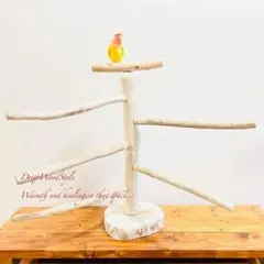取り外しできる天然流木の止まり木 Mサイズ スタンド 木製 インコ N7