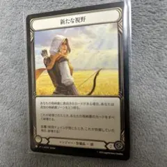 新たな視野 flesh and blood L装備