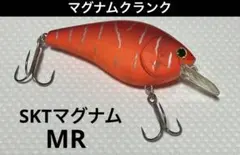 Item thumbnail for item 409f32d9-83e4-4735-8c2b-70cd55afa643