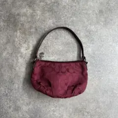 coach accessory pouch one shoulder bag