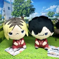 【新品 タグ付き】ハイキュー!! もちぴこ BIGぬいぐるみ 黒尾鉄朗 孤爪研磨