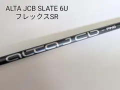 2026年最新】alta j cb slate シャフト xの人気アイテム - メルカリ