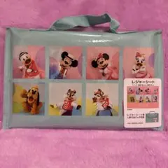 ディズニー　レジャーシート　イマジニングザマジック　実写　ベリミニ