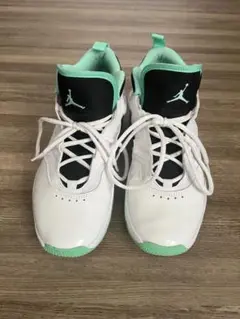 Nike Air Jordan ステイ ロイヤル 3 バスケットボールシューズ