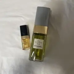CHANEL N°19 Eau de Toilette 50ml + ミニボトル