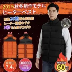 【2025年最新版】26箇所発熱　電熱ベスト 速暖　L Lサイズ　ブラック