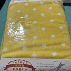 Item thumbnail for item c83a9ddc-73d4-46bb-8b9f-ac4d43c23774