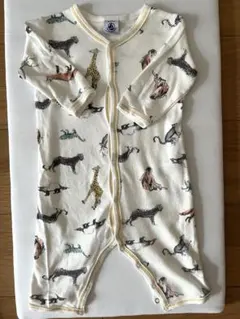 Item thumbnail for item 8fa28700-06e7-4671-a08d-c2f7ca599ebb