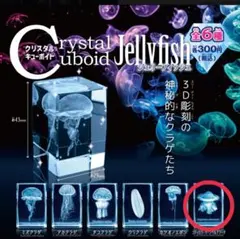 2026年最新】クリスタルジェリーフィッシュの人気アイテム - メルカリ