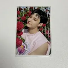 Stray Kids バンチャン MAXIDENT BDM 特典 トレカ
