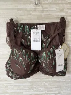 C75&M」トリンプ プレミアム ゴールドレーベル 草木根の美 ブラ&ショーツ