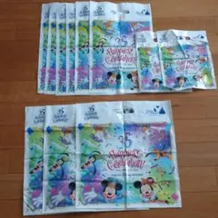 東京ディズニーランド2018年ESTAR　35周年ショップ袋