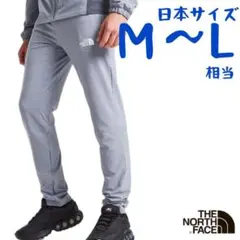【海外限定】ノースフェイス　ジョガーパンツ　日本M相当　J1136