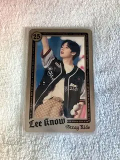 Stray Kids Leeknow リノ ライブフォト エコパ トレカ