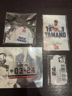 ヤクルト 山野太一のサムネイル