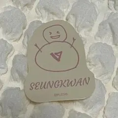スングァン seventeencafe 2022winter ステッカー