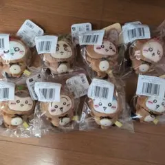 ちいかわ たぬきだもんくじ