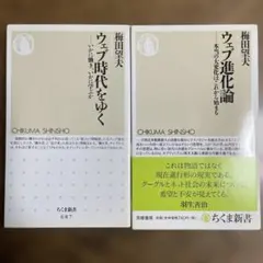 ウェブ時代をゆく 、ウェブ進化論