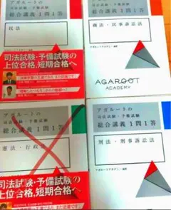 アガルート　一問一答　セット アガルート司法試験予備試験 総合講義一問一答 11冊+論証集