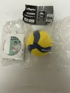 ハイキュー‼︎×MIKASAコラボBOX付きボール青葉城西高校