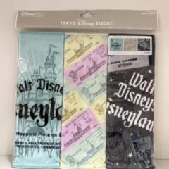 東京ディズニーリゾート ウォルトディズニー100周年　タオル3枚セット