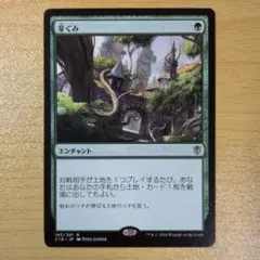 芽ぐみ/Burgeoning