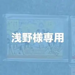 ONE PIECE(ワンピース)箔入りアクリルカードコレクション【浅野様専用】