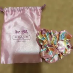 COACH コーチ シュシュ ピンク・マルチカラー　ロゴ入りシュシュ入れ付きのサムネイル