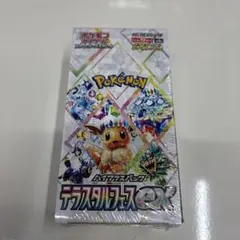 2025年最新】テラスタルフェスex boxの人気アイテム - メルカリ